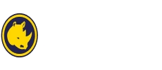 spinorhino casino